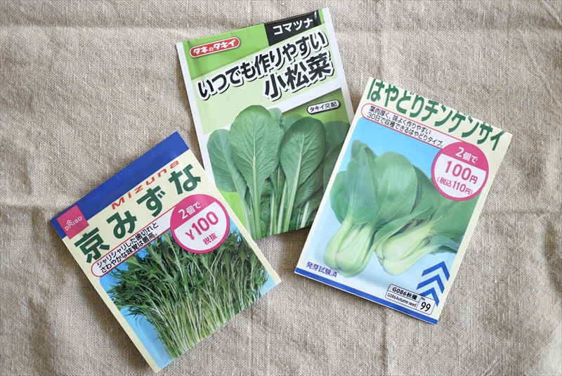 葉物野菜の種3種